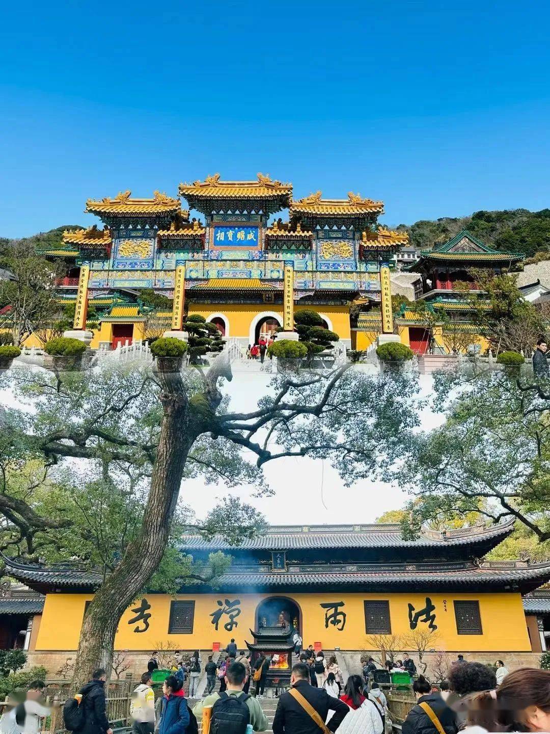 【3月1日星期五】￥2580元高端普陀山(厦航晚班) 云霄南海拜拜团双飞