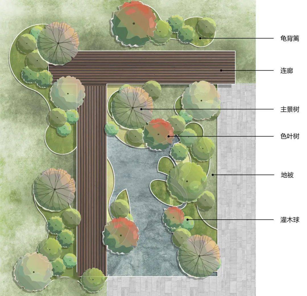 景观植物种植分析图图片