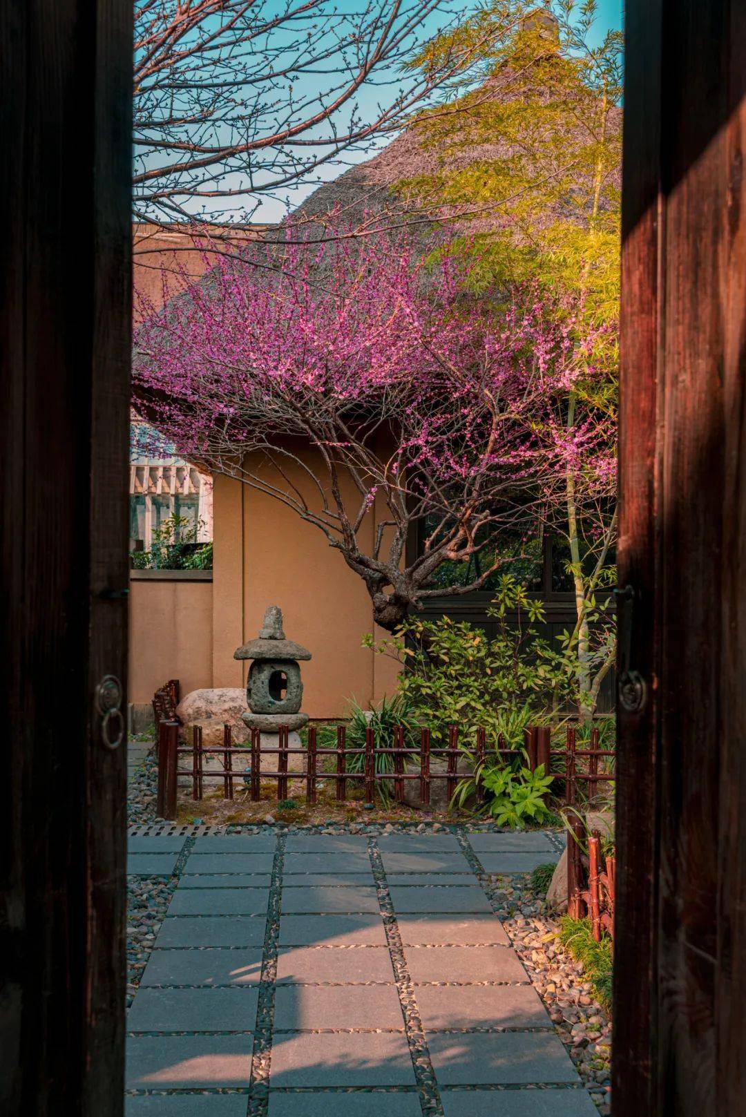 衡阳梅花院子图片