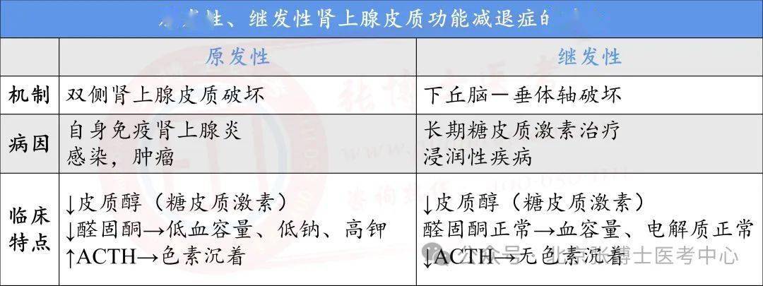【临床】内分泌系统疾病——对比:原发性,继发性肾上腺皮质功能减退症