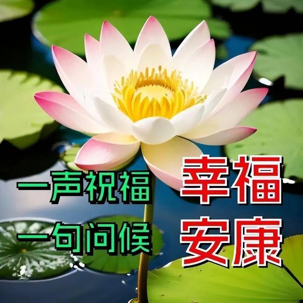 平安吉祥问候图片图片