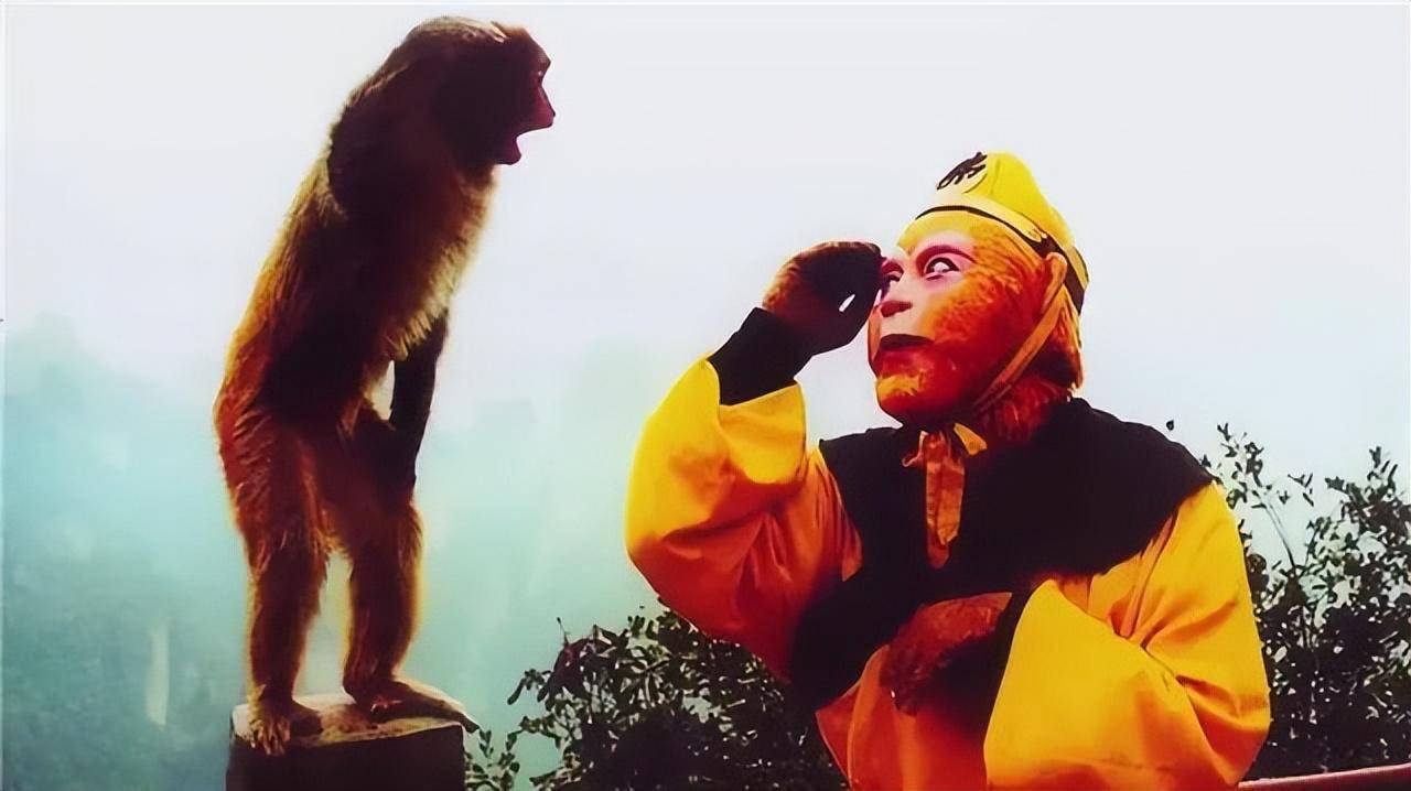 当时曹荣斩钉截铁地说当然是六小龄童,因为《西游记》太火了,六小龄童