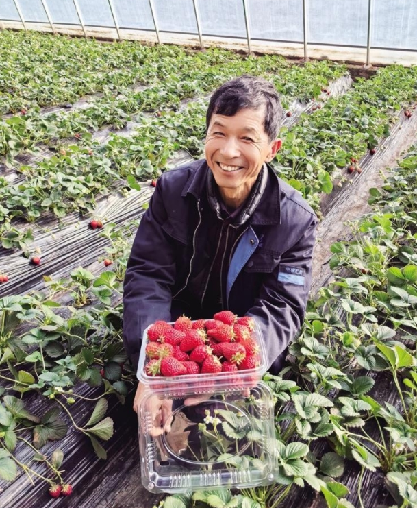 新春走基层丨年货有“团宠”——反季节果蔬销售火爆！兰州市各县区以高品质果蔬丰盈兰州人的“菜篮子”(图2)