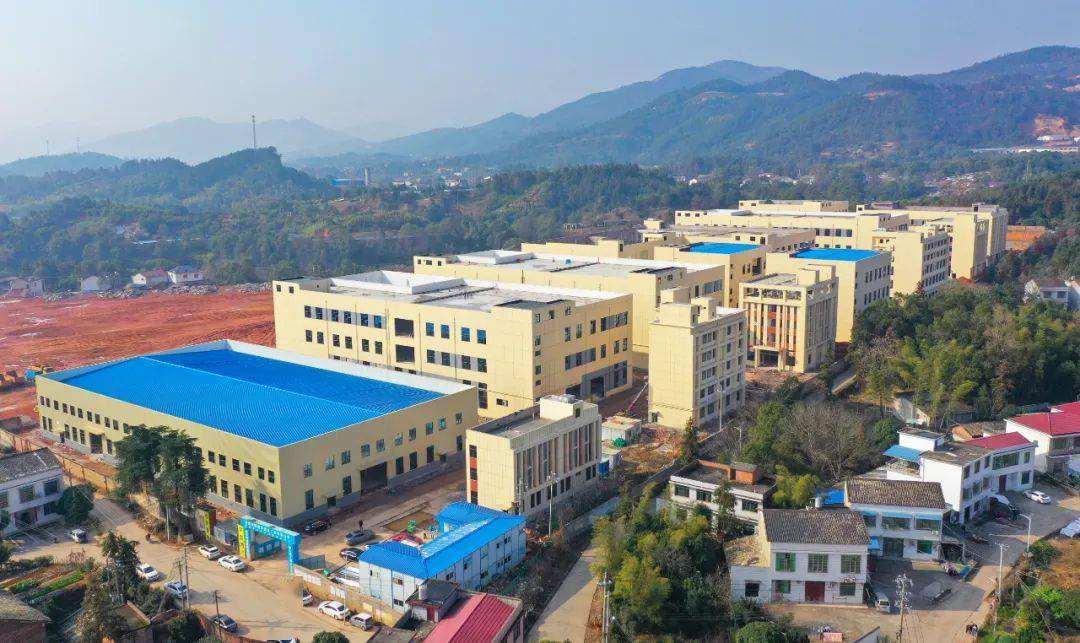 浏阳这个乡镇,存款余额超70亿元!_投资_花炮_企业