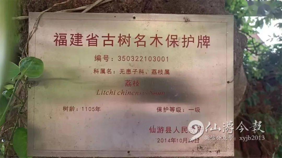 仙游这个乡镇一日游精品线路出炉!_简介_水库_龙潭