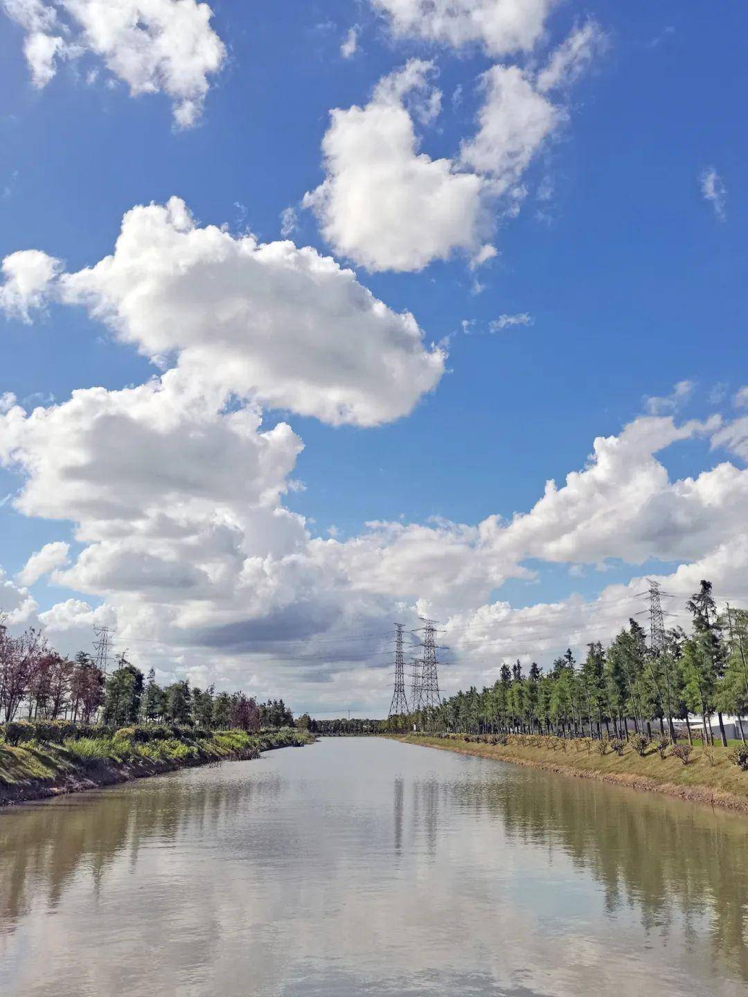 来松江打卡《繁花》取景地_小昆山镇_二陆_良田