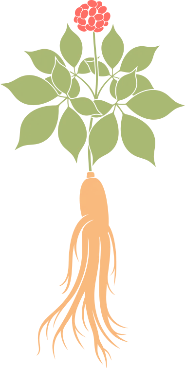 基层动态|过"廉"节 我们这样做～_建设_全镇_家风