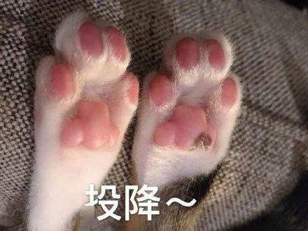 斗图表情包:想笑~_公众_爱情_il