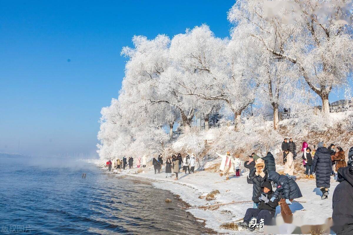 今年的雾凇冰雪节,吉林市千方百计地为八方宾朋提供各种优质贴心服务