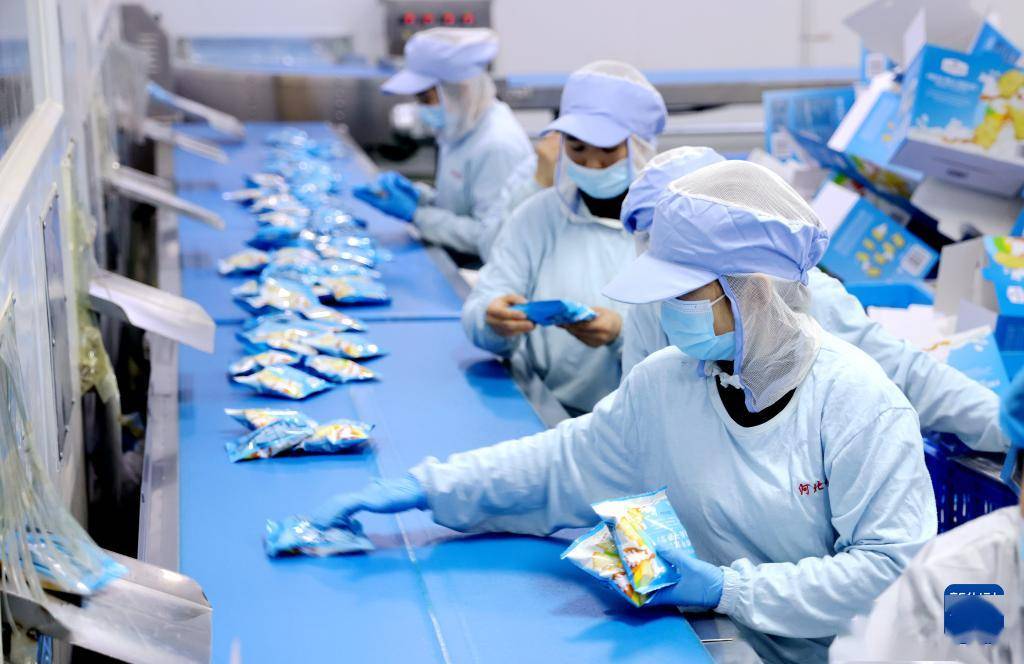 河北邱县:食品企业生产忙_教育_加工_留言