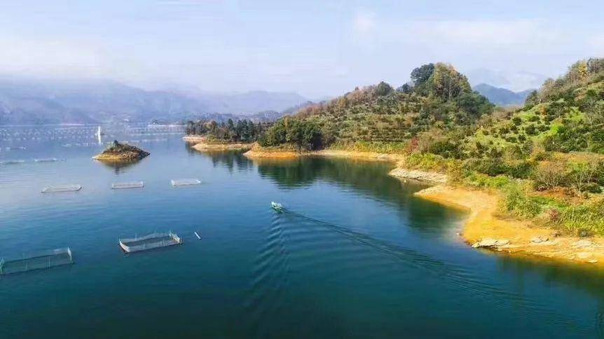 寻找淳安"乡村共富合伙人"!100 项目资源等你来,首期?