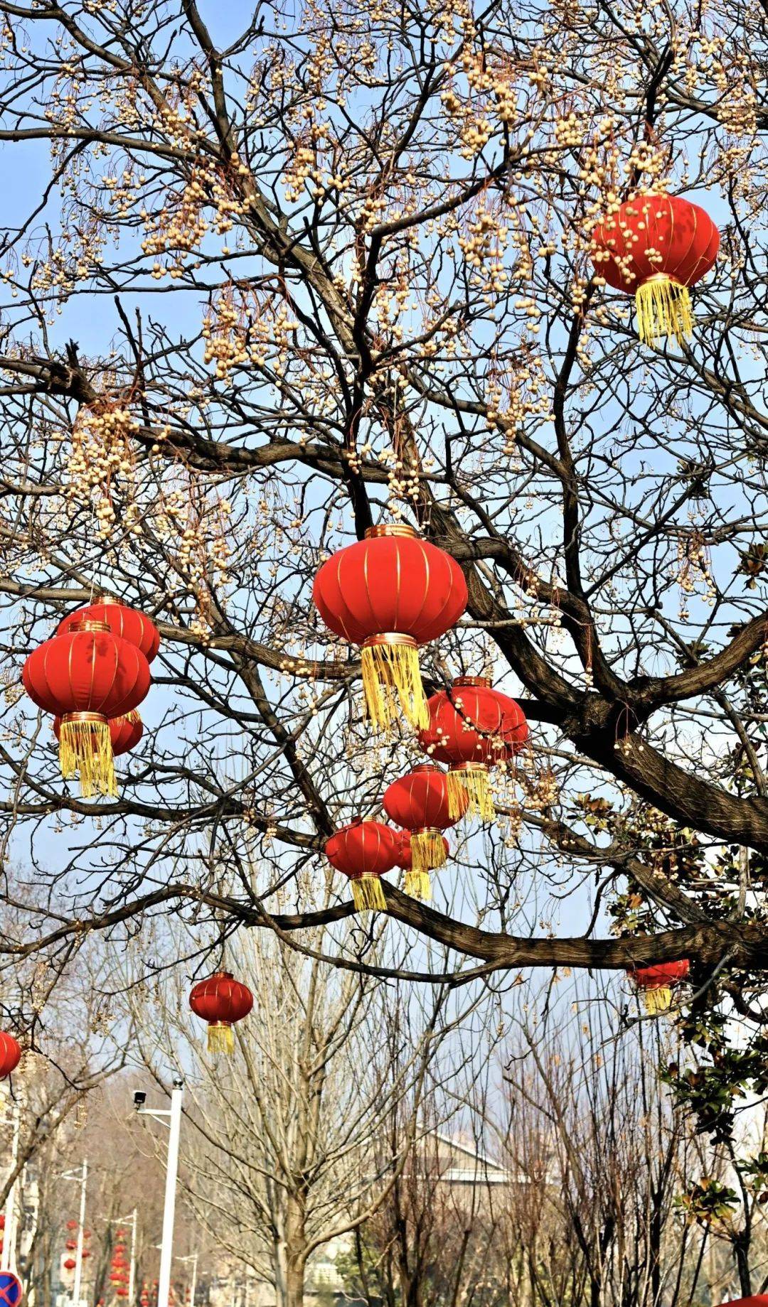 宿迁等你回家过年