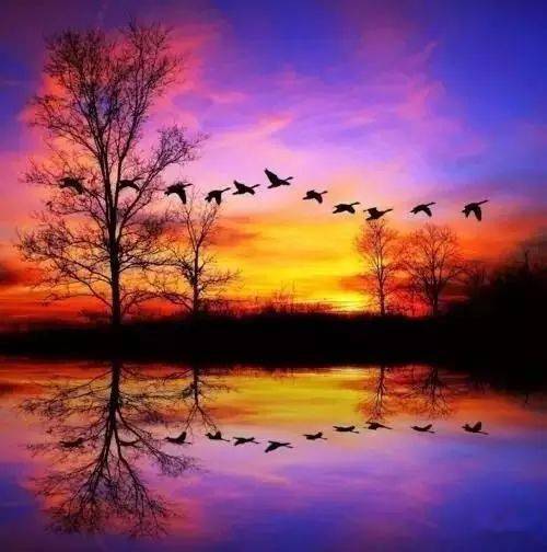 青山依旧在,几度夕阳红(美到骨子里!)_从容_人生_山水