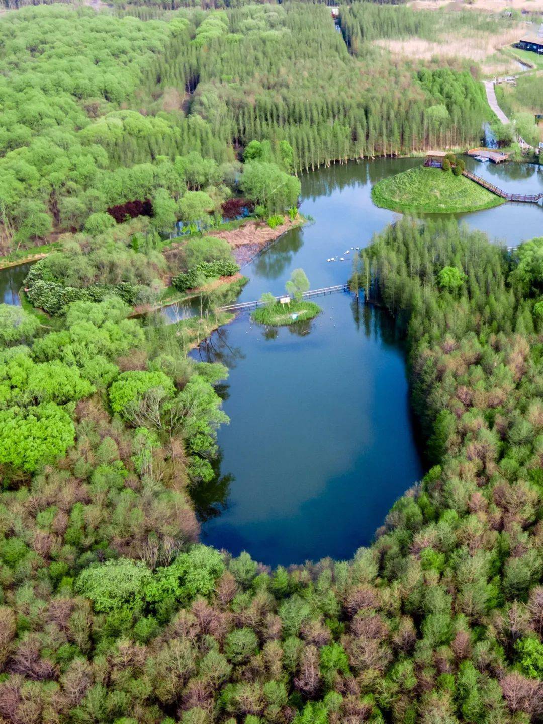 一波美图先来了解下