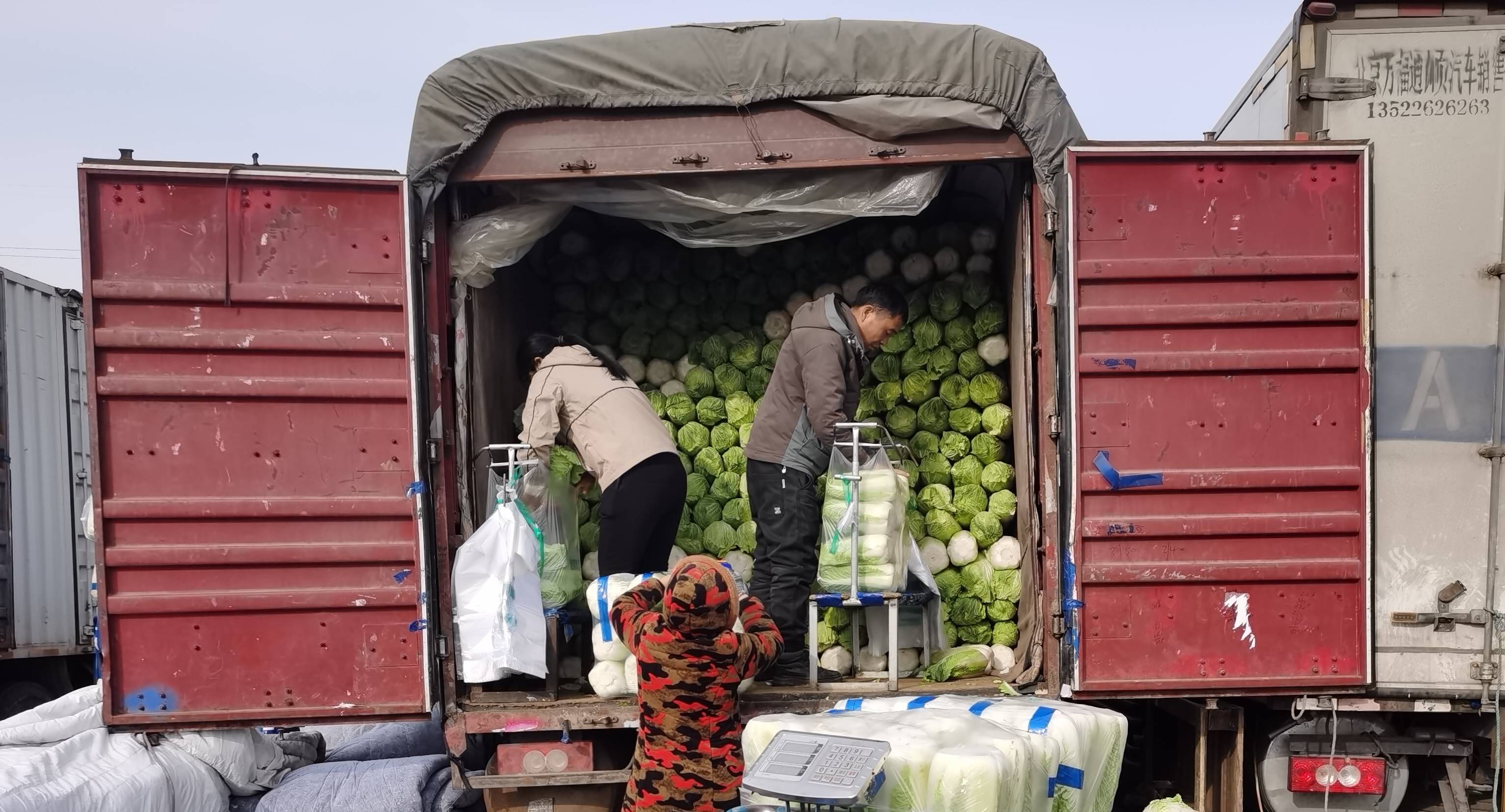 蔬菜装车现场图片图片