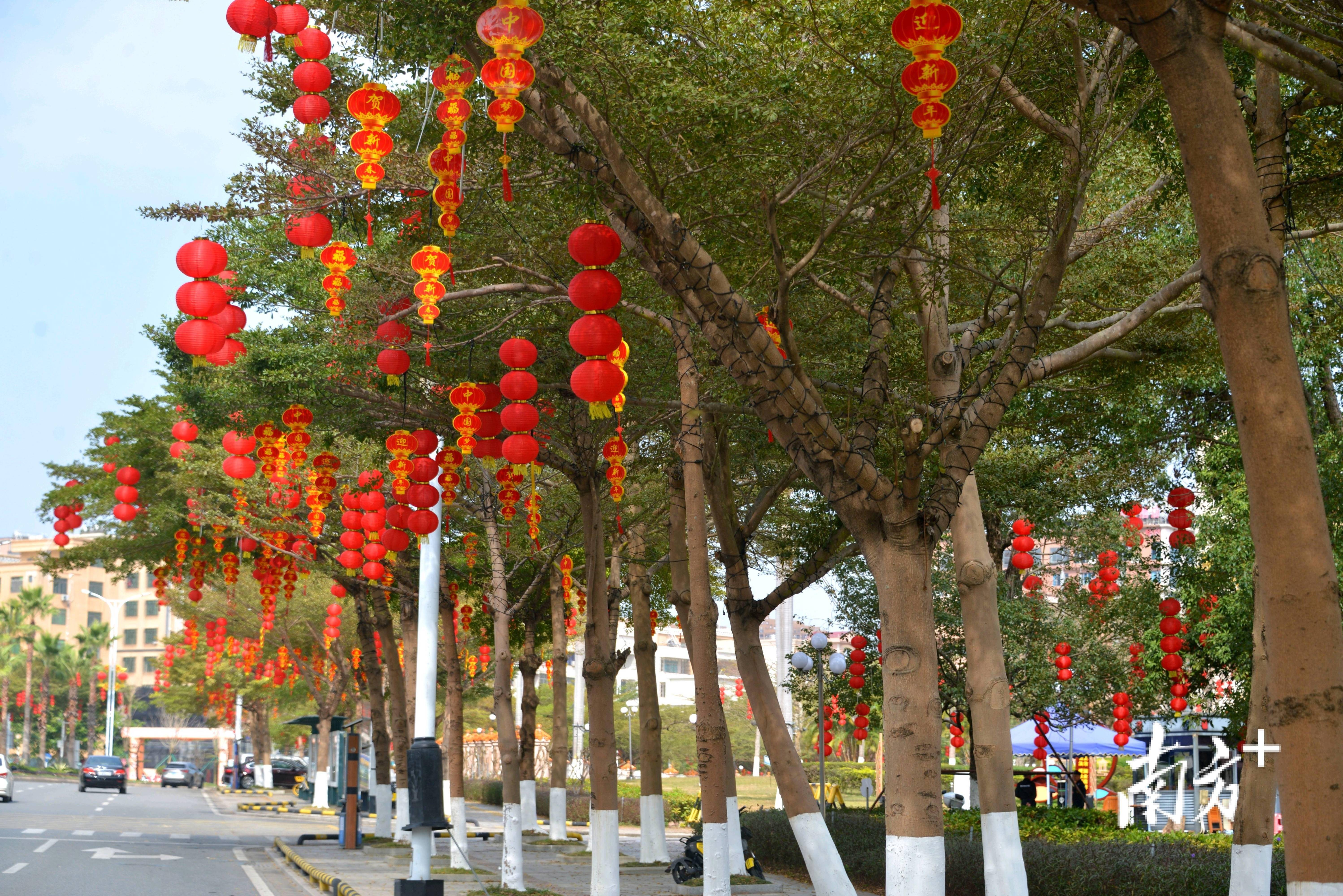 烟火气里,春节氛围感"拉满"|"年"在电白_市民_灯笼_春联