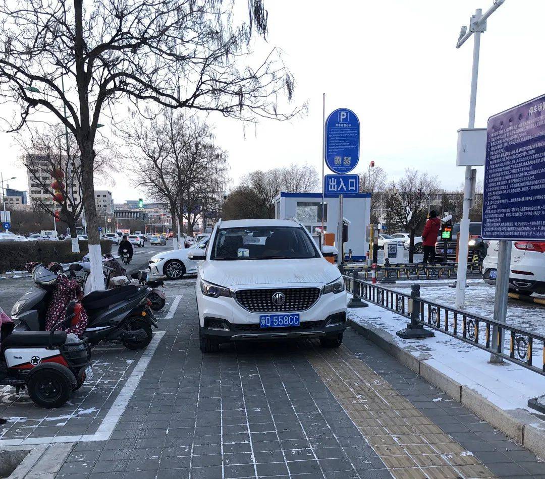 文明交通随手拍:违停车辆大曝光第十六期丨平安春运 交警同行_举报