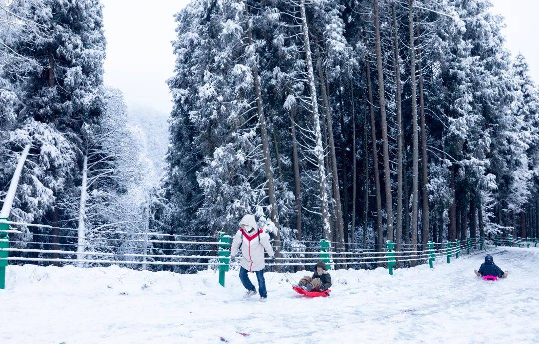 你要的這裡都有!_活動_寶山_冰雪