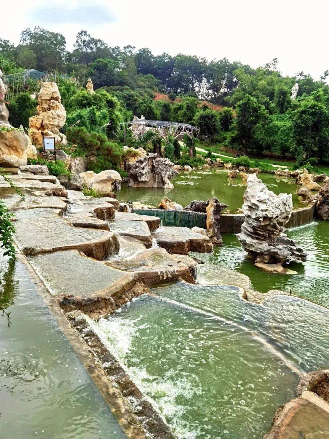 67【国旅自组】女神节特惠 61 食足 8 餐,67泡