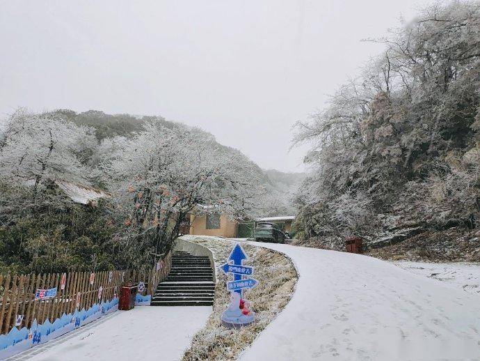 全城聯動→重慶處處有耍事,處處有優惠_活動_消費_惠民