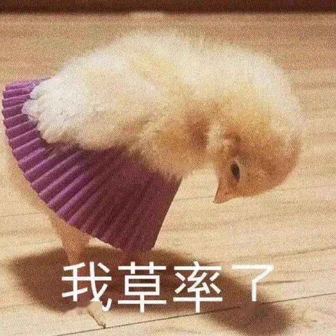 头像表情包111_侵权_商业用途_网络