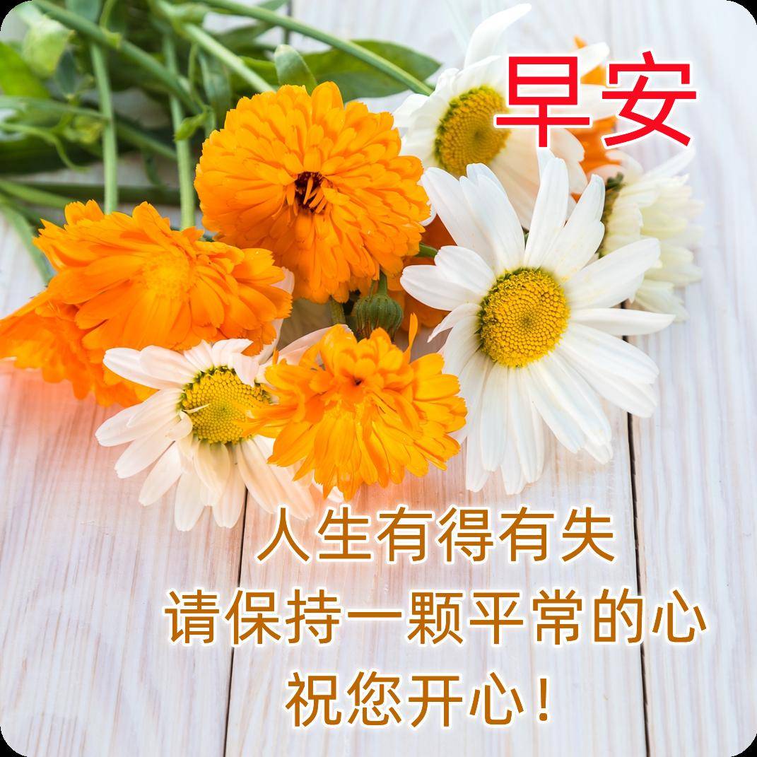 人生路上,很多时候看不清未来,回不到过去,早安!_祝福