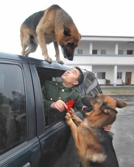 识别下方二维码加入我们的收藏交流群