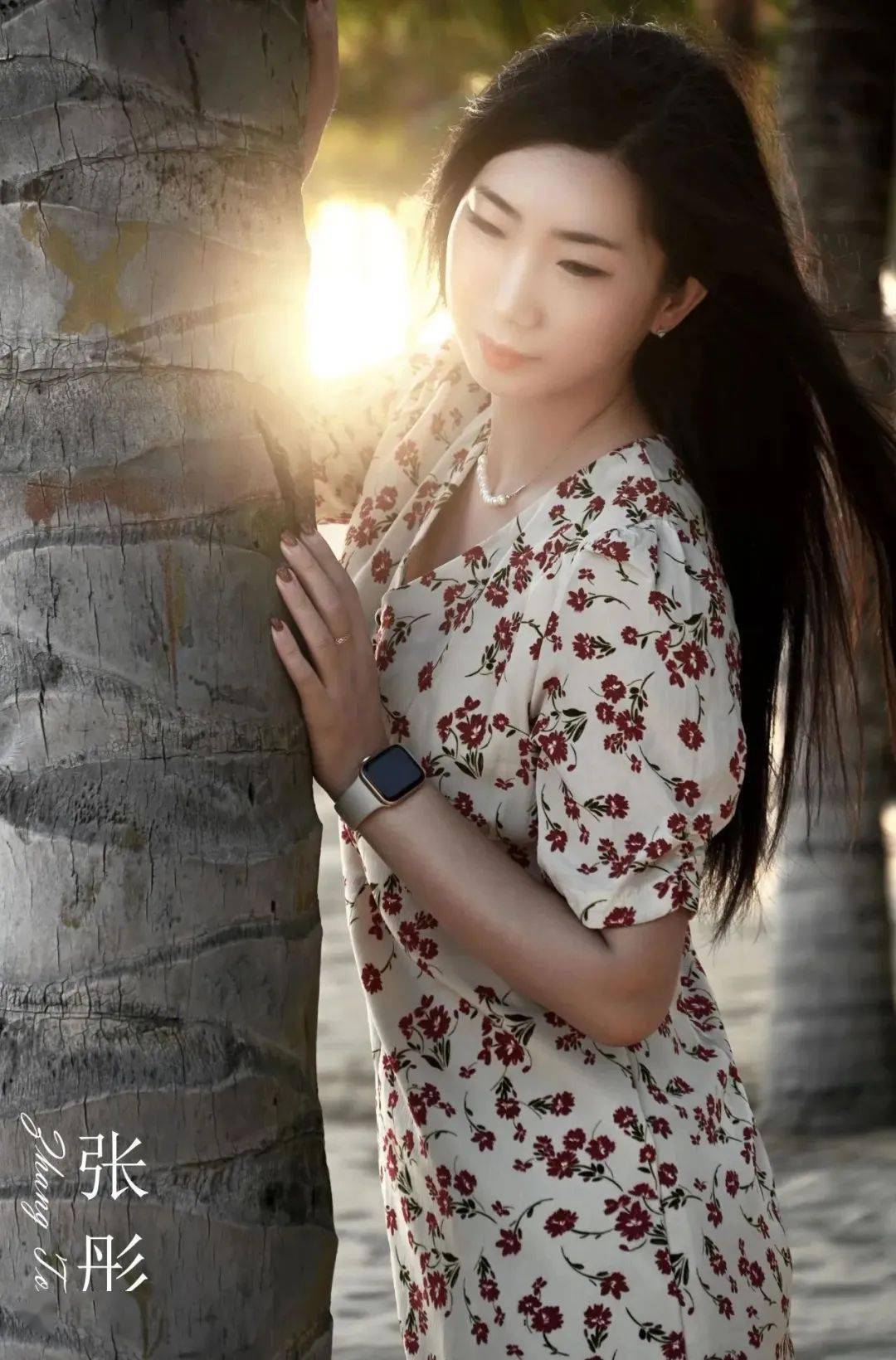 春天寄语 | 张彤——海的那边依然是海_青岛_花灯_大年