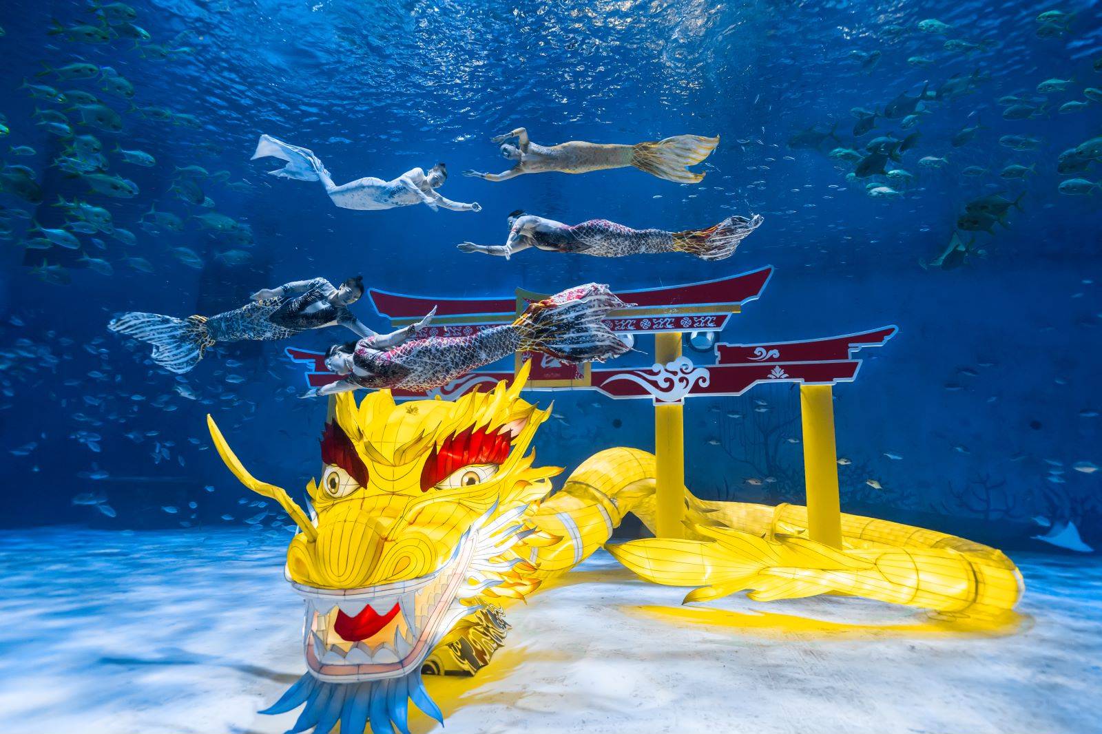 一条巨龙盘旋海底格外引人注目,这就是园方为迎接龙年首创的海底龙宫