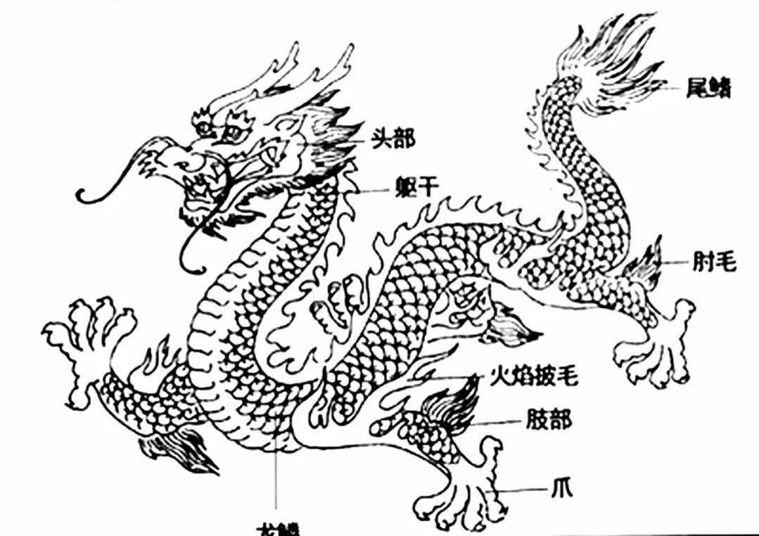 中国龙文化_龙的_象征_中华民族