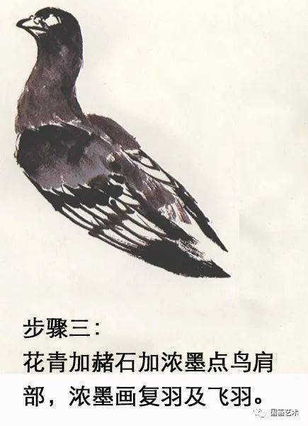 和平鸽国画画法步骤图片