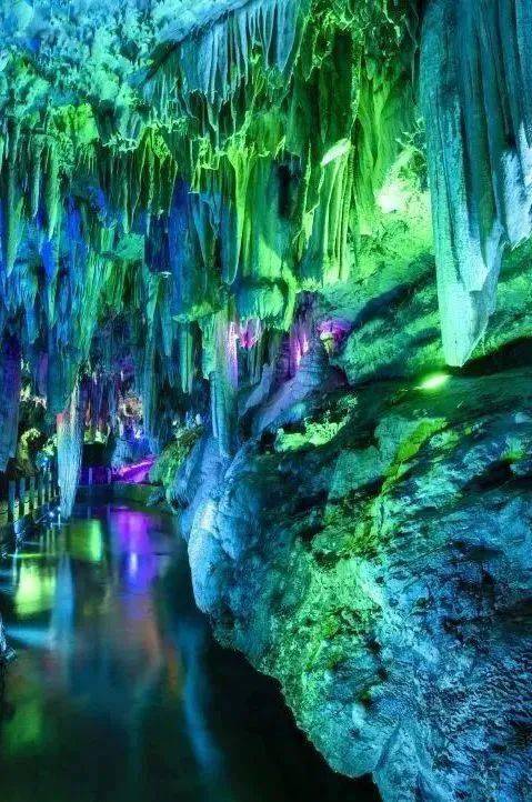 醉山野景区·春节门票福利活动时间:2024年2月10日-2025年2月9日踊葺