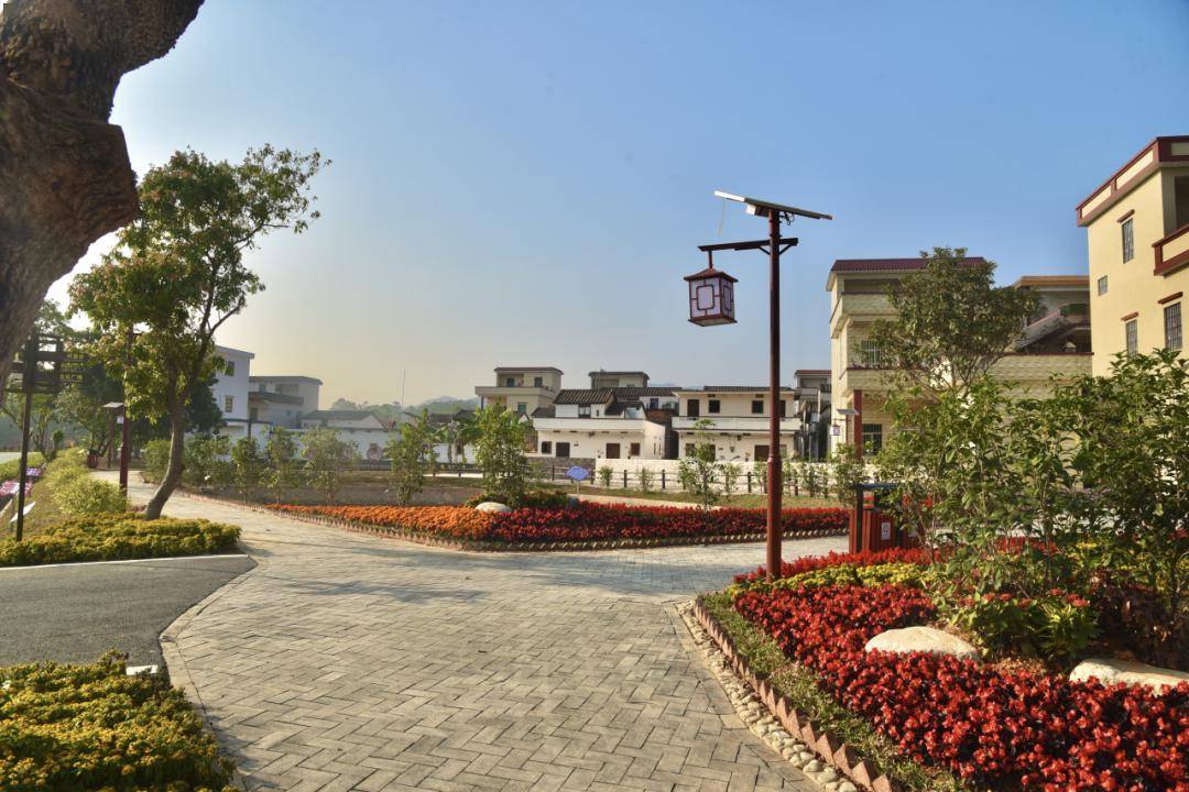 【聚焦"百千万工程"】新兴县水台镇:和美乡村有"面子",幸福生活有"