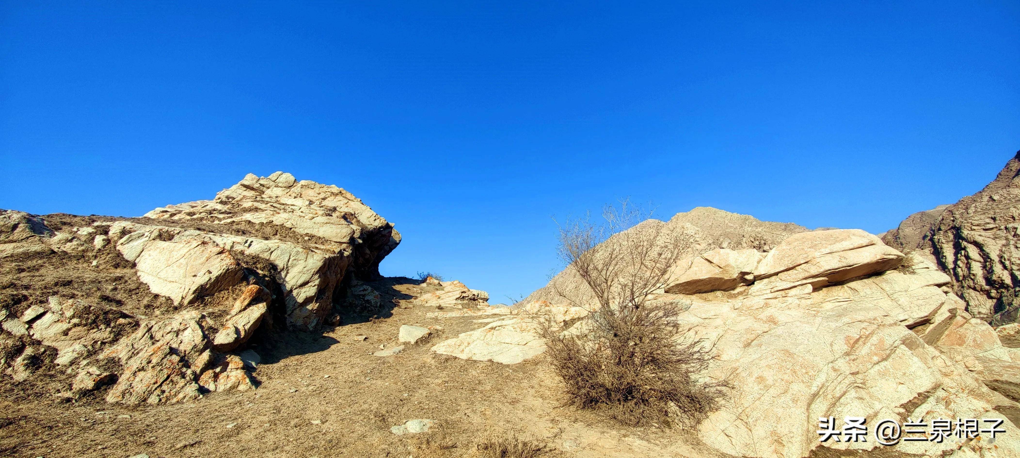 走进什川黄河大峡谷 感受大自然的鬼斧神工_白银_什川