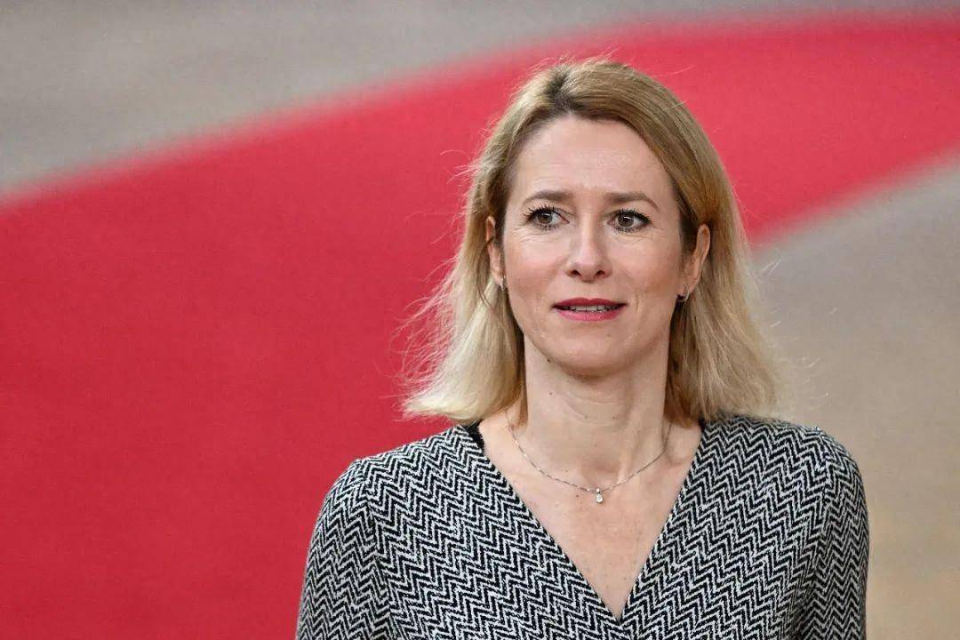 俄罗斯:她,被通缉!_卡娅·卡拉斯_资料_欧元