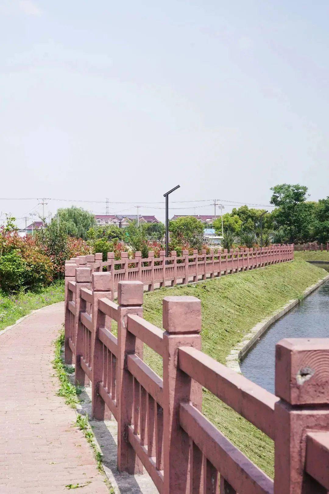 青"村"游|厌倦了都市的千篇一律,那就到华新来场深度乡村游吧!