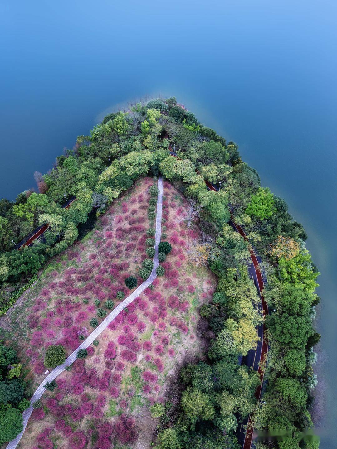 东莞这些浪漫花海正盛放…_花坛_桃花_桥头