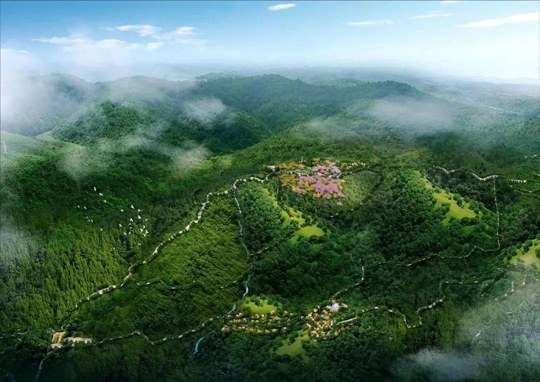 云南省红河州绿春县:绿水青山,四季如春_哈尼_白旺_茶叶