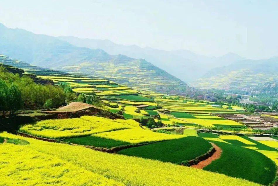 【新春走进基层】武山县龙台镇:端起"绿饭碗"吃上"旅游饭"_发展_乡村