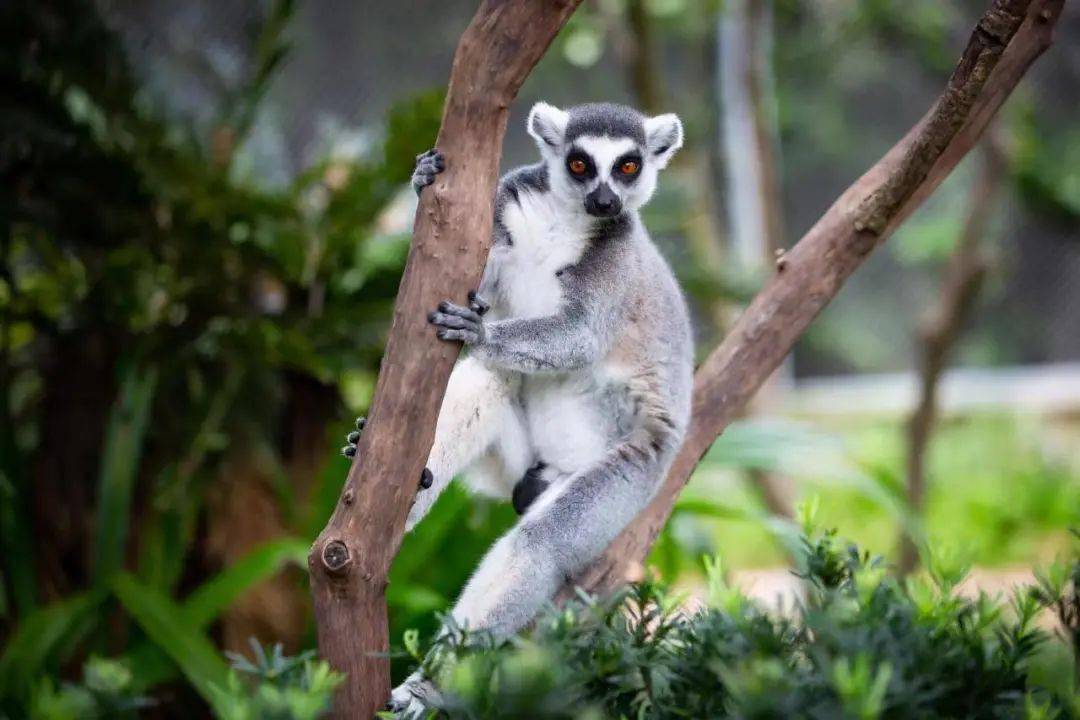 来长泰看绚烂花海,赏千年传承非遗_旅游_漳州_古山
