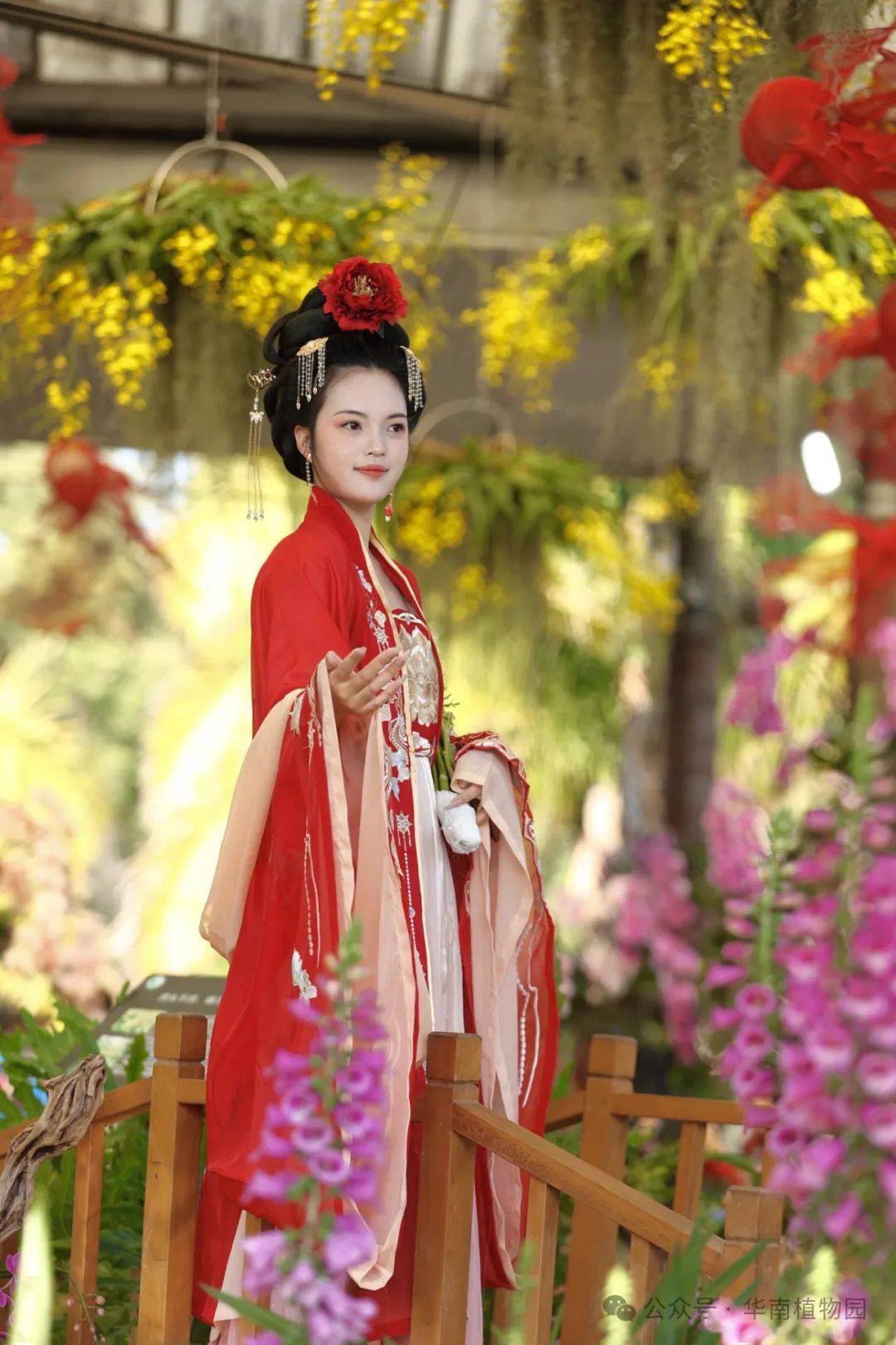 十二花神贺新春活动火热进行中!_华南_植物园_兰花