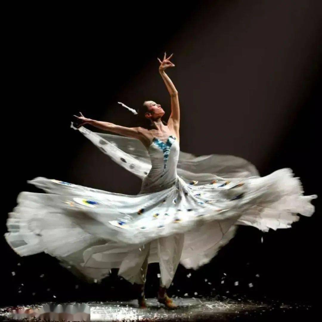 杨丽萍作品无缘春晚冲上热搜!2亿人围观!网友:服装造型太美了.