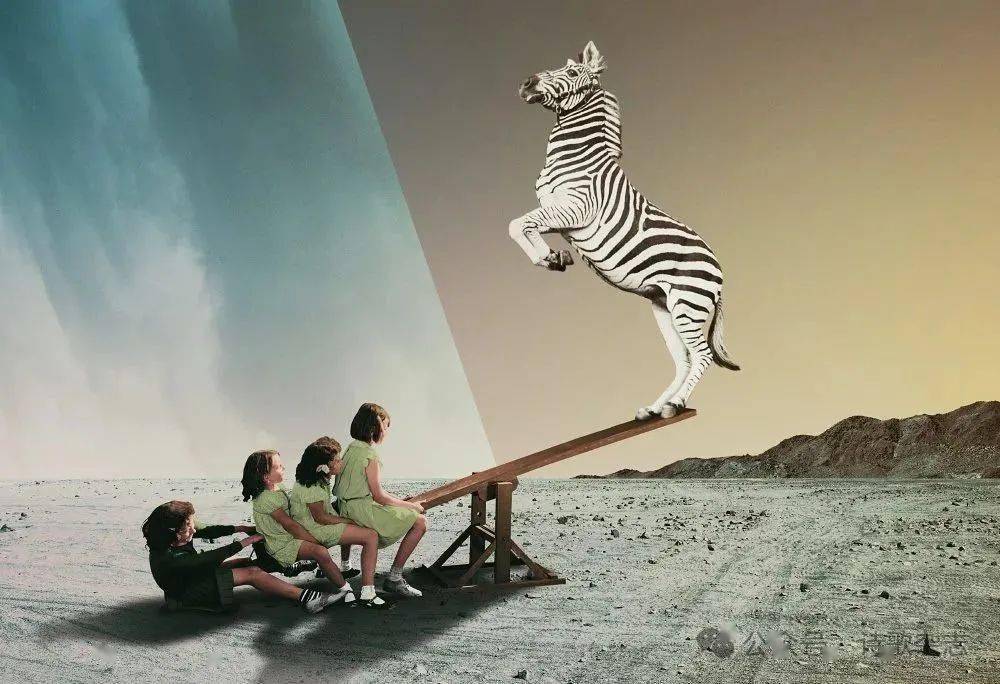 图影·贴拼|日常即荒唐|可观,可意会(89)_摄影_观念