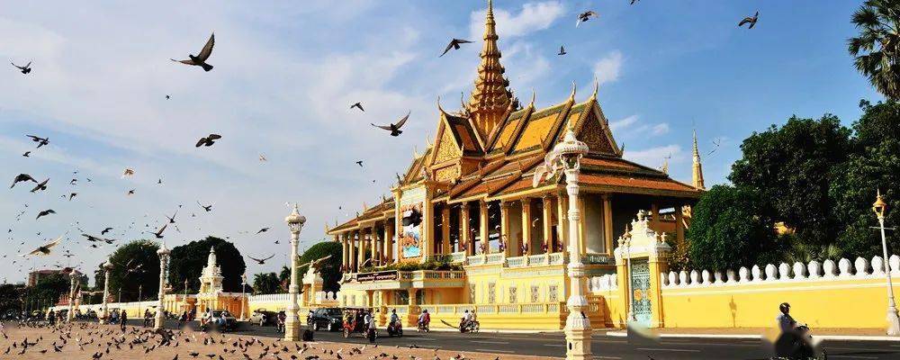 11支优秀童声合唱团欢聚,唱响"湾区童韵" ,带来视听