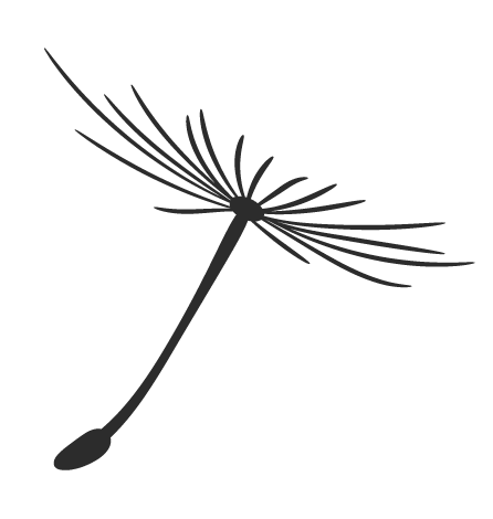 数字资源 | 打开历史的衣橱,看看古代人的服饰观_普陀