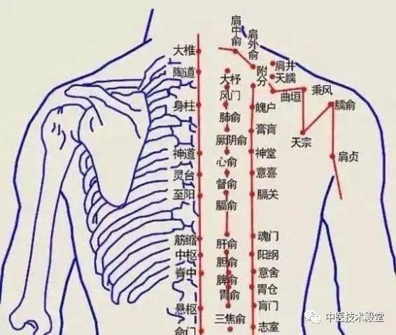 女人一辈子的6条养生秘笈