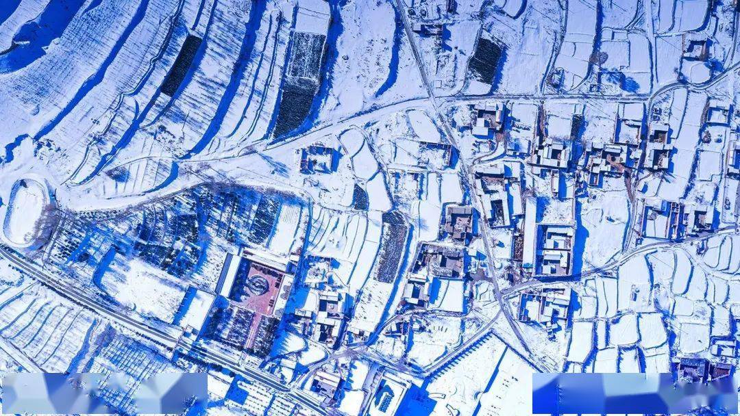 【白银文旅】甘肃景泰:惟余莽莽看寿鹿