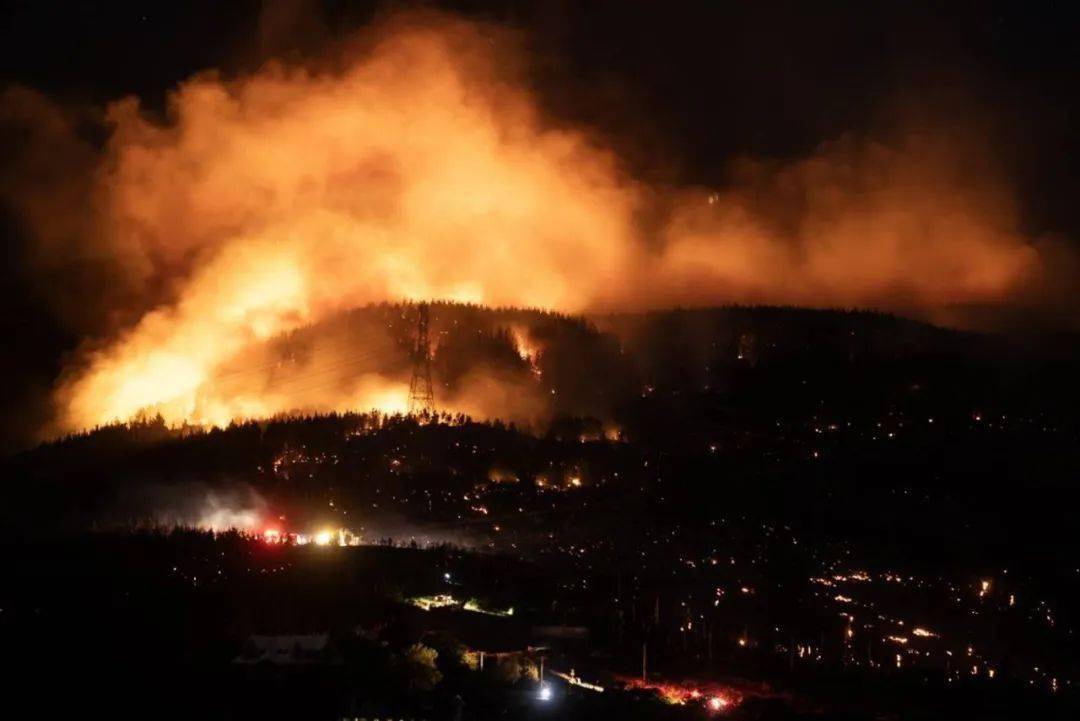 亚裔游客南岛撞死人,判了!基督城大火已70%受控_stuff