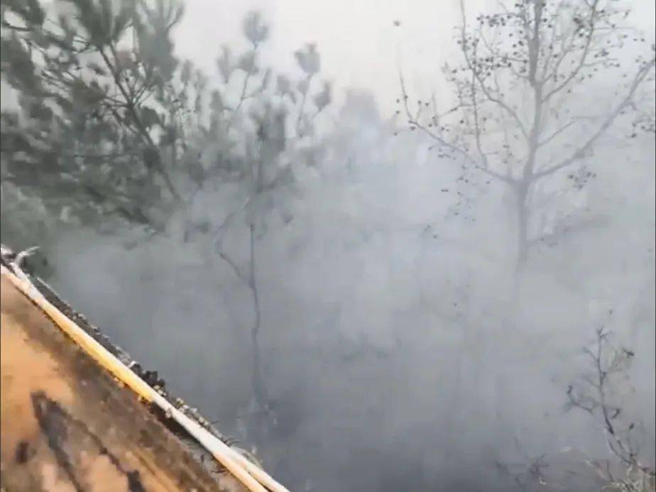 梅州一小孩玩烟花引发山火!出动直升机._大埔_梅县