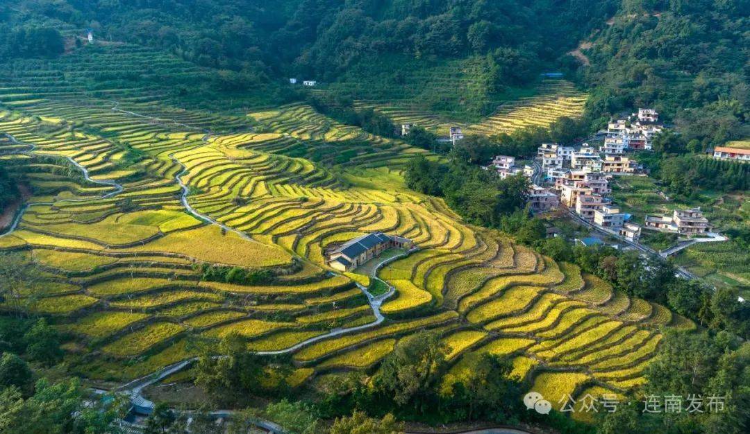 五大行动进行时 | 清远连南大麦山镇新寨村:"五大行动"凝聚精神文明